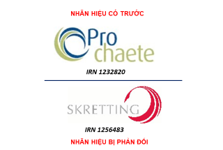 Khiếu nại thành công, “SKRETTING, hình” được chấp nhận bảo hộ ở Việt Nam